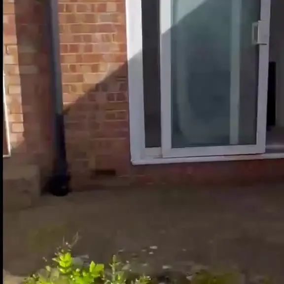 Back of a brick house with old patio doors before the extension