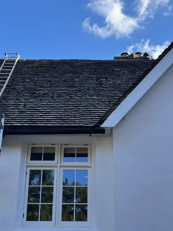 Clay tiled roof with a roof ladder during ridge repairs