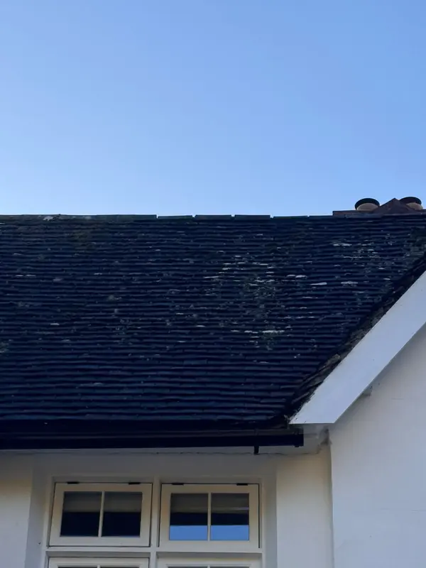 Clay tiled roof with the ridge tiles re-bedded